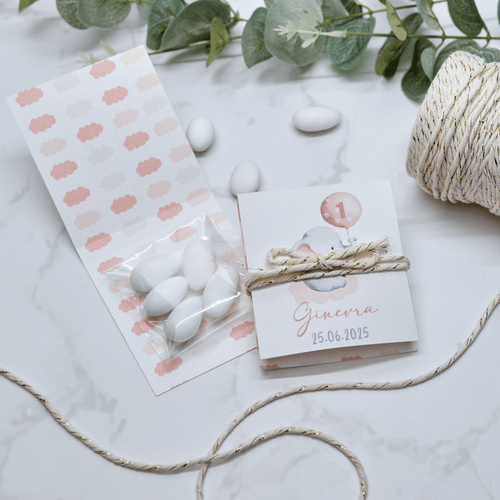 Astuccio PortaConfetti Elefantino Rosa - Eventi Fai da Te